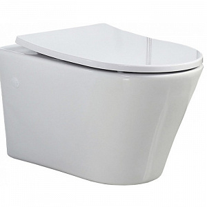 Подвесной унитаз BelBagno Flay-R  безободк. с крышкой-сиденьем микролифт 3