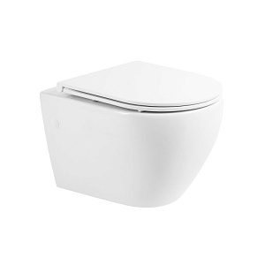 Сиденье, быстросъемное, дюропласт, soft close, металлическое крепление BB870SC