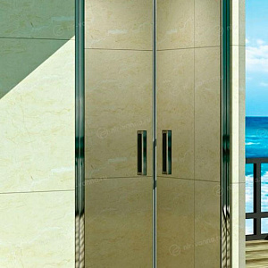 Душевая дверь в нишу WeltWasser WW600 600K2-90 90*185 без поддона