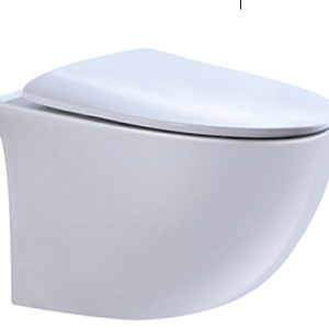 Унитаз подвесной Deva Azario AZ-2117 52х37х36 безободковый