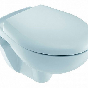 Подвесной унитаз Jacob Delafon Brive 36*52 с крышкой-сиденьем микролифт